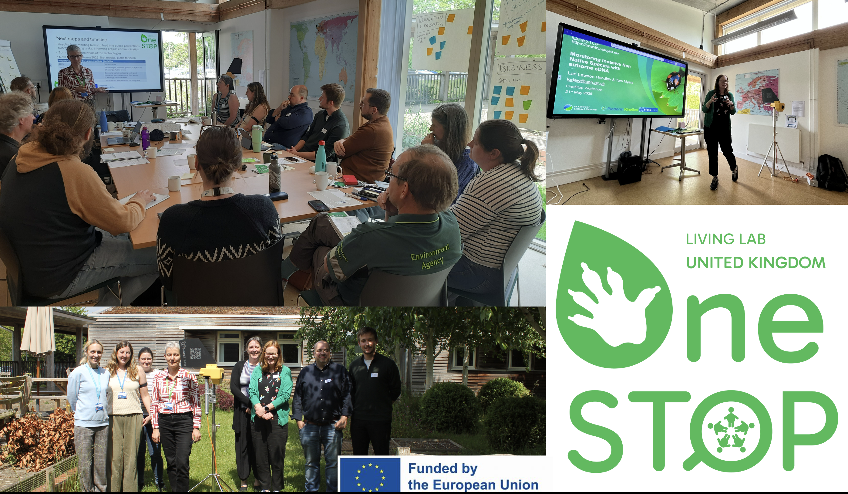 OneSTOP contributes to the Invasive Species Week 2025 with the launch of our UK Living Lab