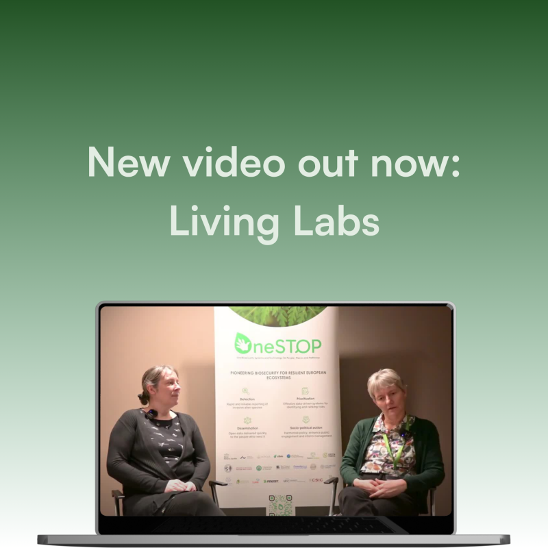 New video explains Living Labs and how they contribute to OneSTOP’s aims