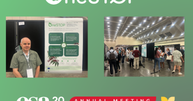 OneSTOP poster at the ESA 2025 Annual Meeting