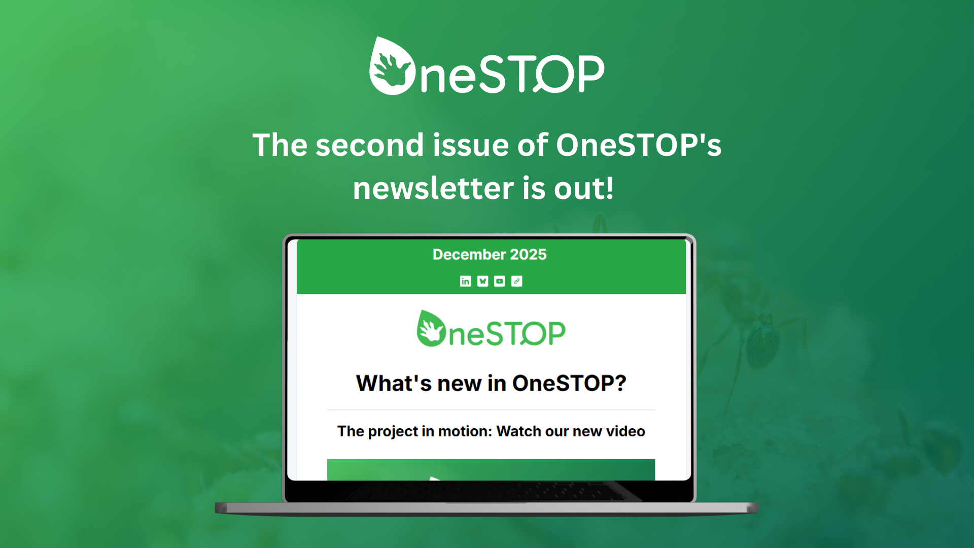 The latest issue of OneSTOP’s newsletter is out!