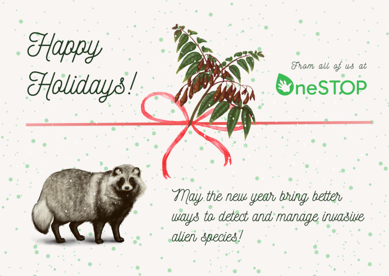 Wishing you happy holidays with highlights from OneSTOP's first year