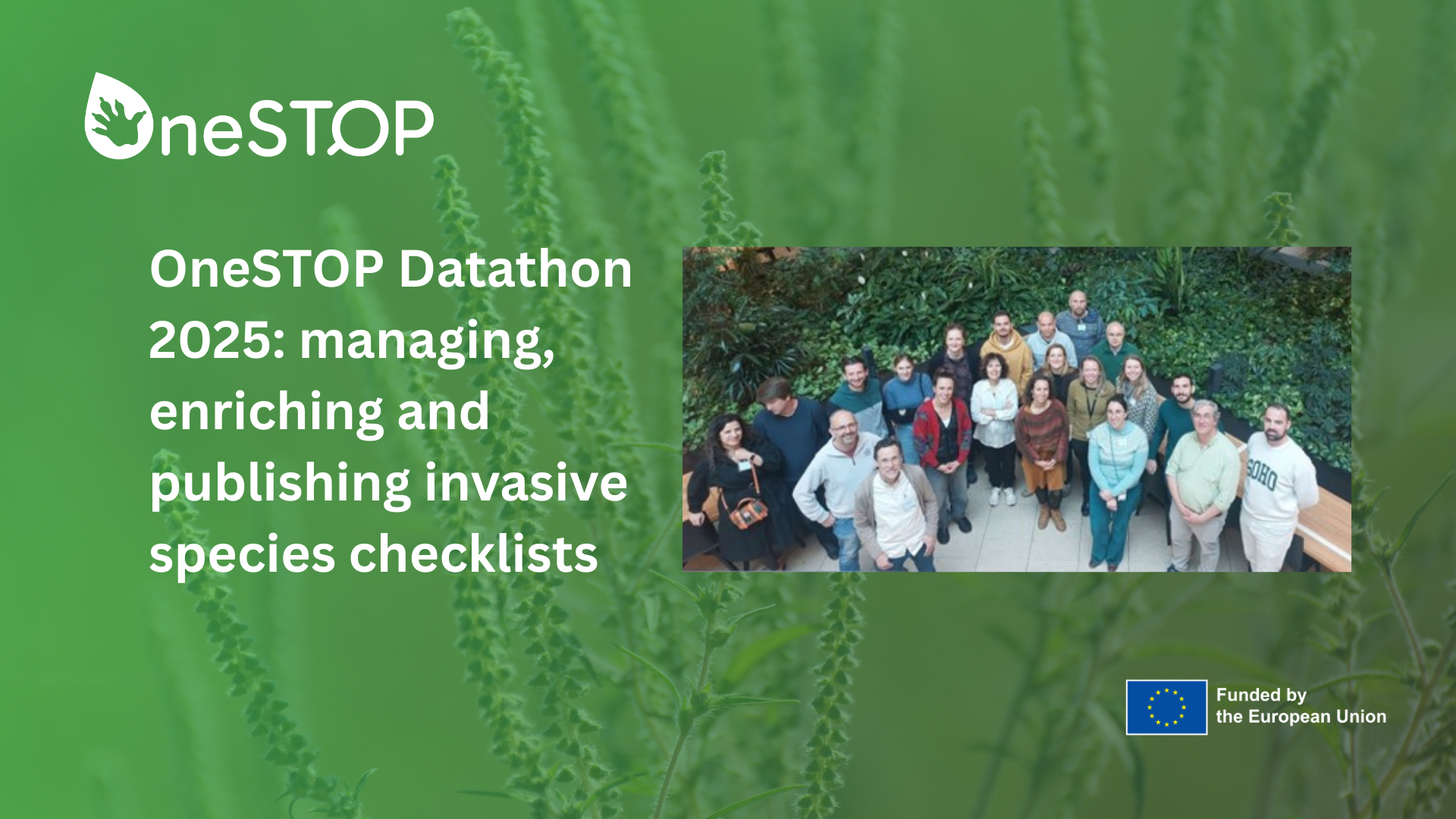 OneSTOP Datathon 2025: managing, enriching and publishing invasive species checklists