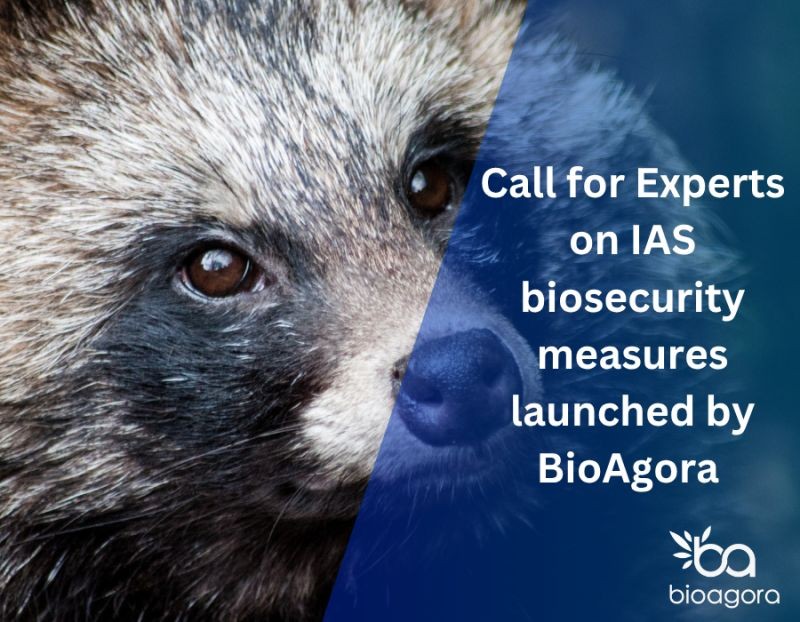 BioAgora launches Call for Experts on biosecurity measures against Invasive Alien Species