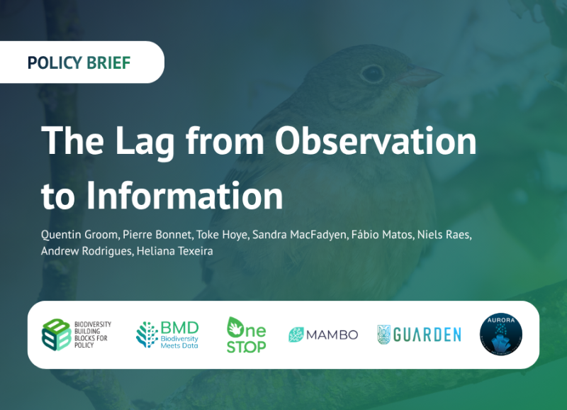 Six research projects work together to reduce the lag between biodiversity data and action