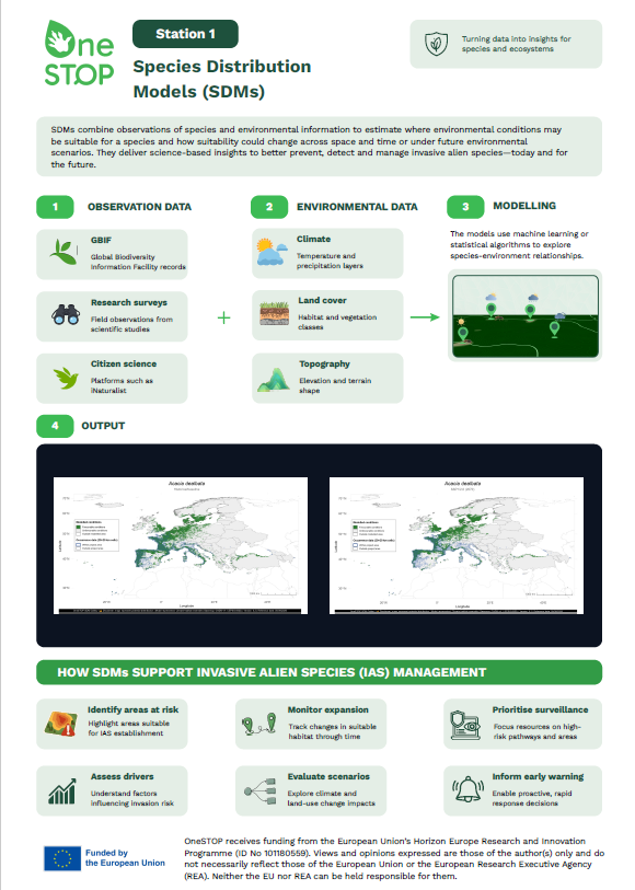 OneSTOP policy infographics